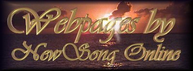 High Quality Webpage Design by NewSong Online
